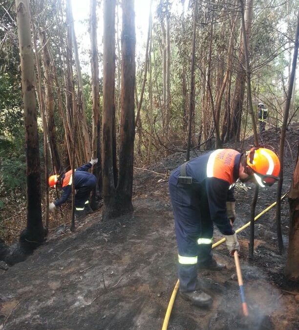 Alerta y prealerta por riesgo de incendios forestales, altas temperaturas y vientos fuertes