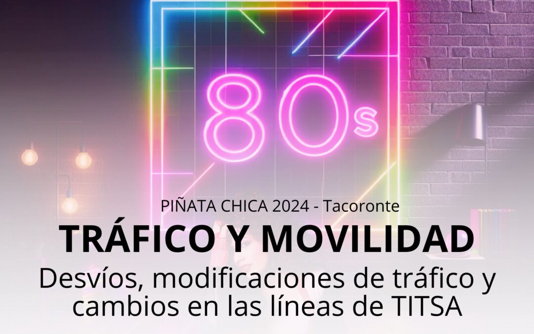 TRÁFICO Y TRANSPORTE PÚBLICO – PIÑATA CHICA 2024