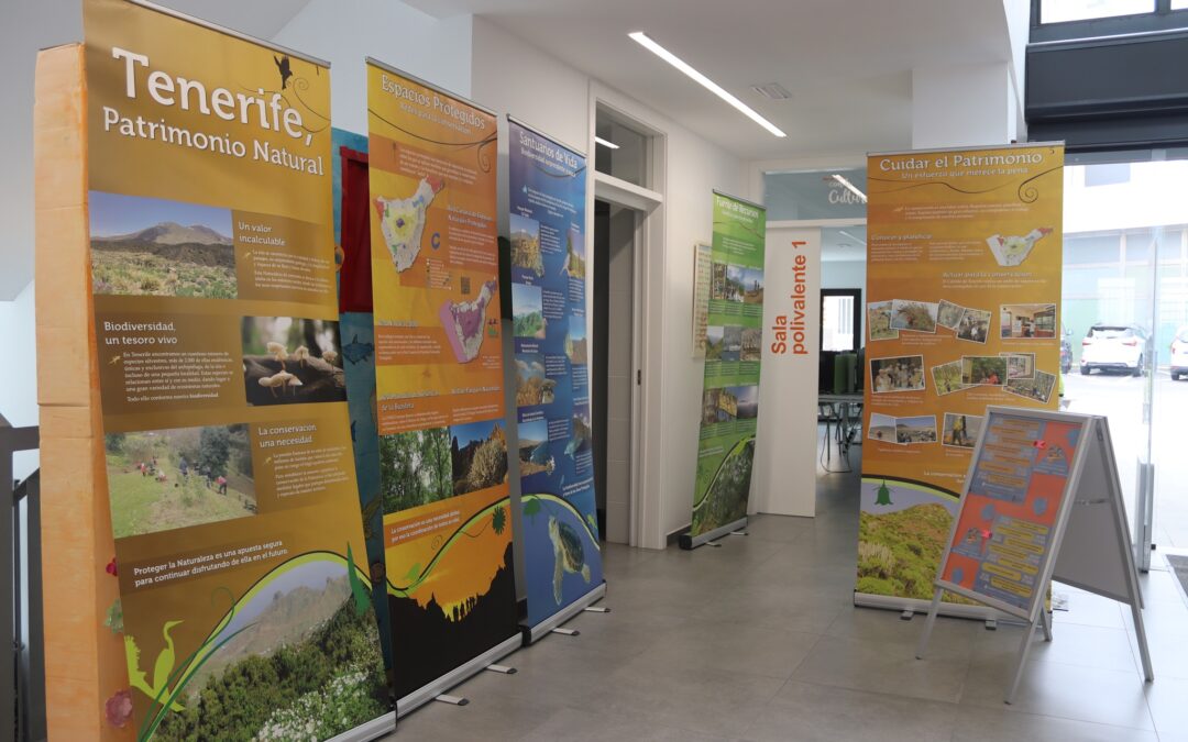 La Biblioteca Municipal de Tacoronte acoge una exposición sobre medio ambiente