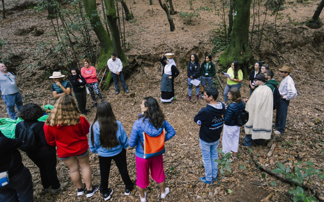 Agua García se convierte este sábado en escenario del Festival La Pinochera – Cine Rural y Ecológico de Canarias