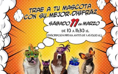 Concurso de disfraces de mascotas en la Piñata Chica 2017