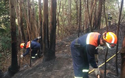 Alerta y prealerta por riesgo de incendios forestales, altas temperaturas y vientos fuertes