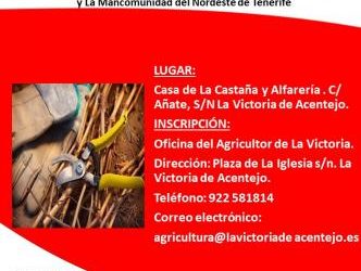 CURSO: PODA E INJERTO EN VIÑA