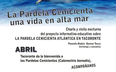 La Pardela Cenicienta. Una vida en alta mar