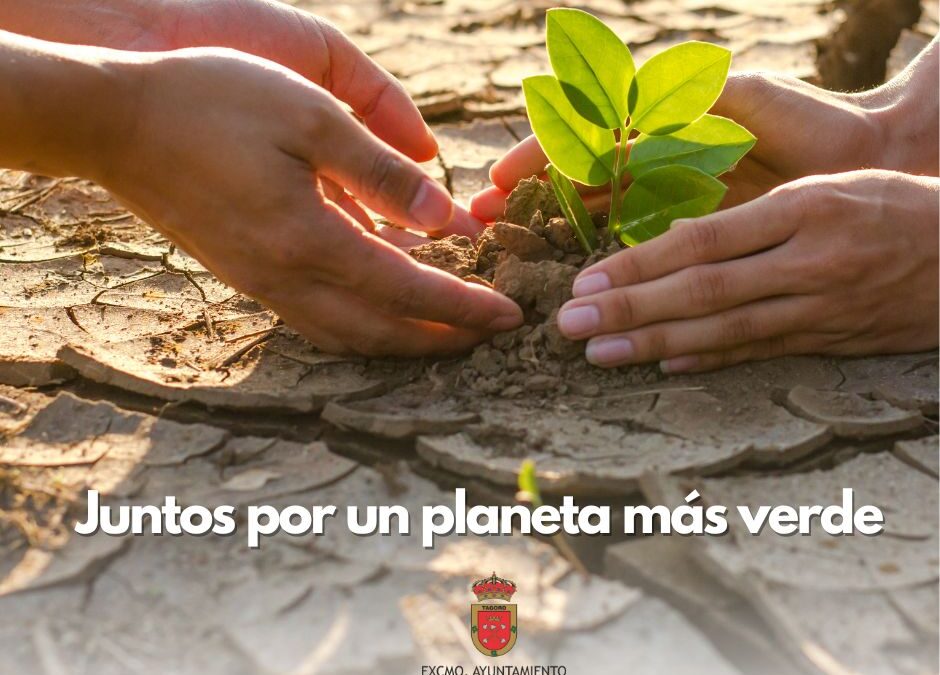 Tacoronte organiza una jornada de concienciación medioambiental por el Día Internacional contra el Cambio Climático