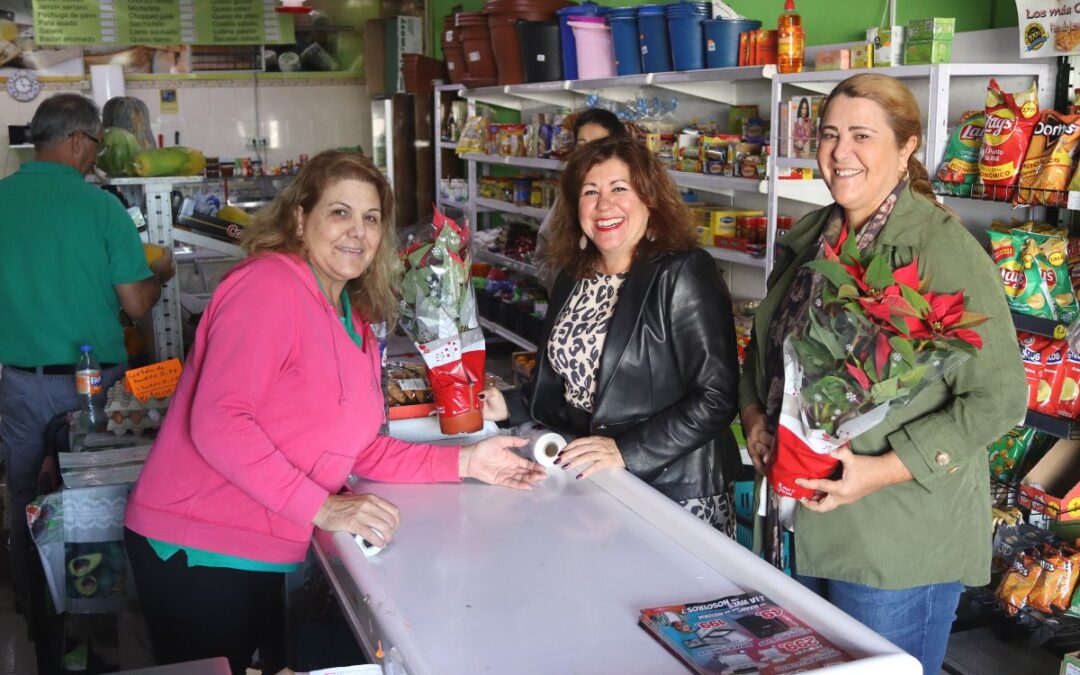 El Ayuntamiento de Tacoronte reparte flores de pascua entre todos los establecimientos comerciales del municipio