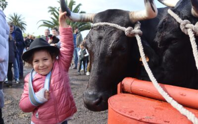 Tacoronte inaugura este fin de semana la programación festiva en honor a San Antonio Abad