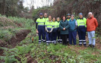 El Ayuntamiento de Tacoronte mejora el barranco Granados, en la zona de Hoya Machado