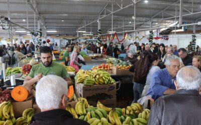 Adjudicado el proyecto de reforma de la instalación eléctrica del Mercadillo del Agricultor