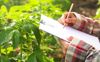 Charla para facilitar la incorporación de jóvenes al sector agrícola y ganadero