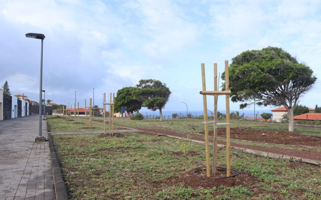 El Área de Parques y Jardines mejora el entorno verde de la urbanización Parque Atlántico